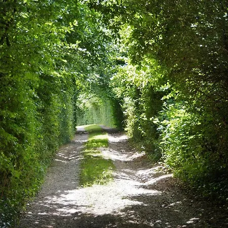 Le Gourmand Echinghen