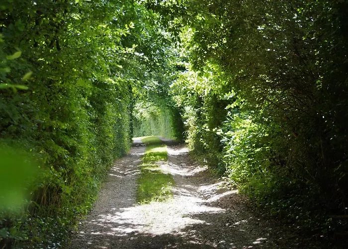 Le Gourmand Echinghen